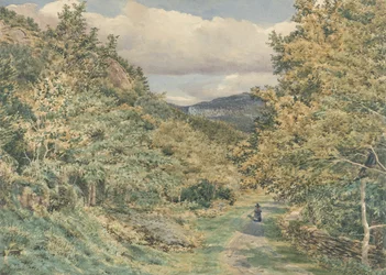 A Road near Bettws-y-Coed